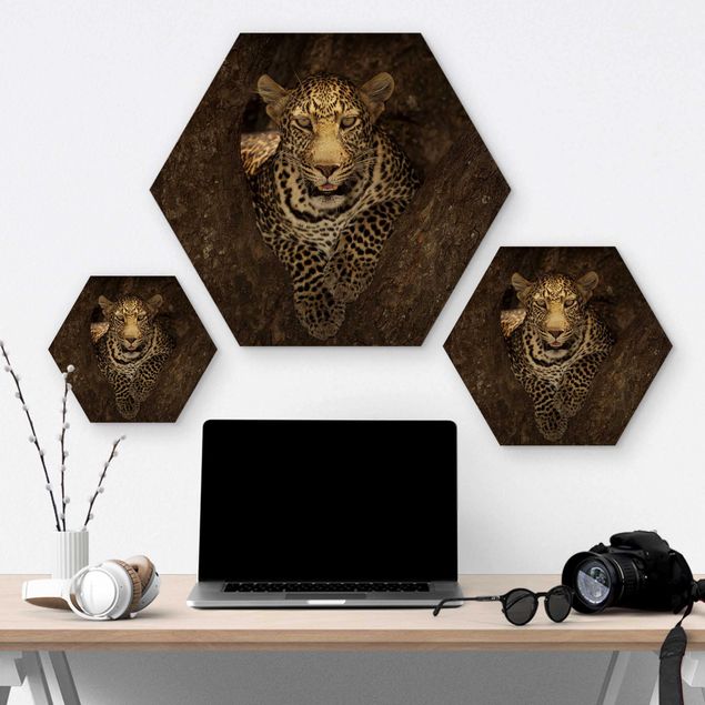 Hexagons houten schilderijen Leopard Resting On A Tree