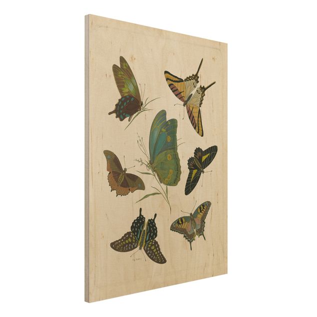 Houten schilderijen Vintage Illustration Exotic Butterflies