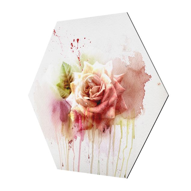 Hexagons Aluminium Dibond schilderijen Watercolour Rose