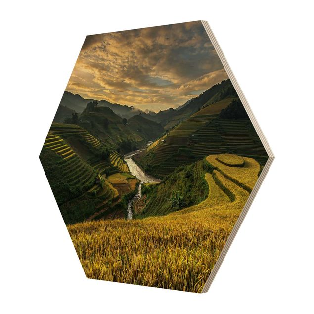 Hexagons houten schilderijen Rice Plantations In Vietnam