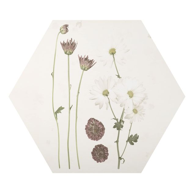 Hexagons Aluminium Dibond schilderijen Herbarium In Pink IV