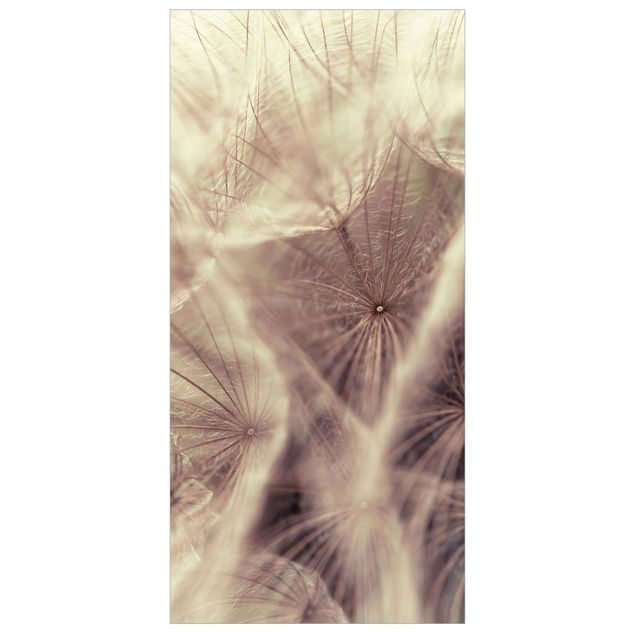 Ruimteverdeler Detailed Dandelion Macro Shot With Vintage Blur Effect