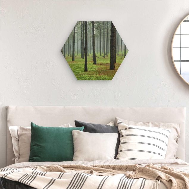 Hexagons houten schilderijen Deep Forest With Pine Trees On La Palma