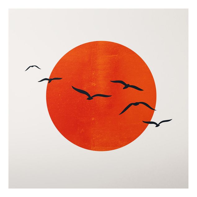 Aluminium Dibond schilderijen Flock Of Birds In Front Of Red Sun I