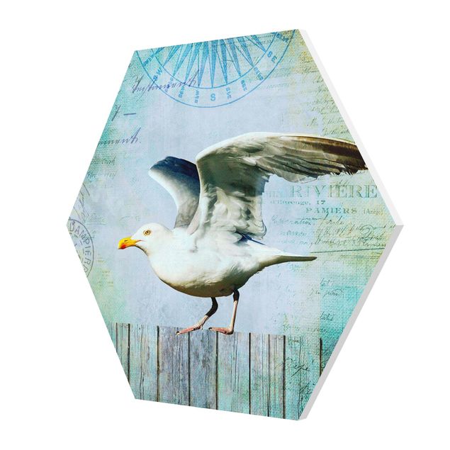 Hexagons Forex schilderijen Vintage Collage - Seagull On Wooden Planks
