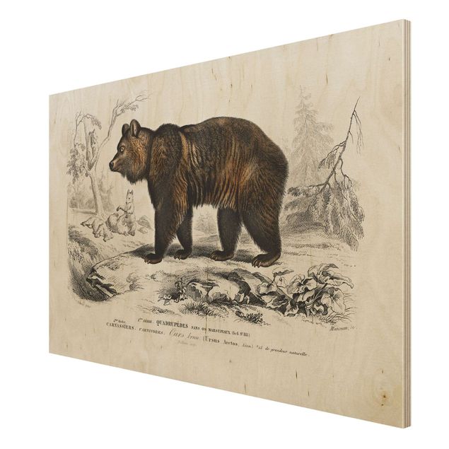 Houten schilderijen Vintage Board Brown Bear