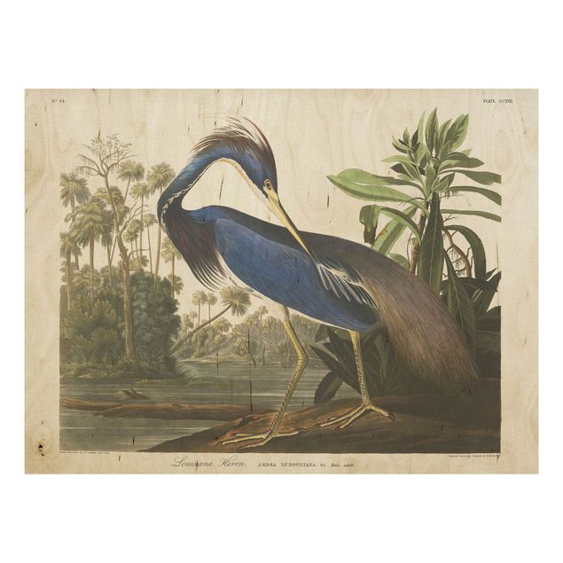 Houten schilderijen Vintage Board Louisiana Heron