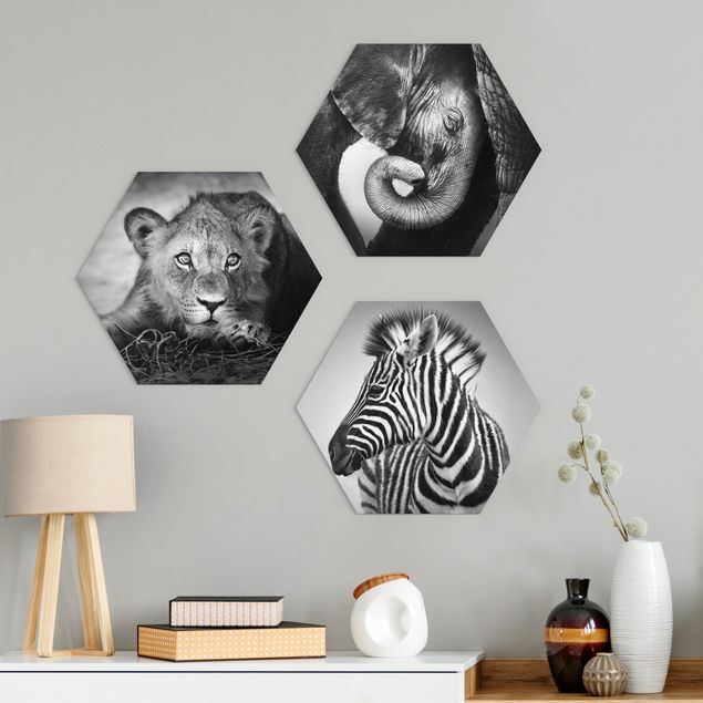 Hexagons Aluminium Dibond schilderijen - 3-delig Baby Animals