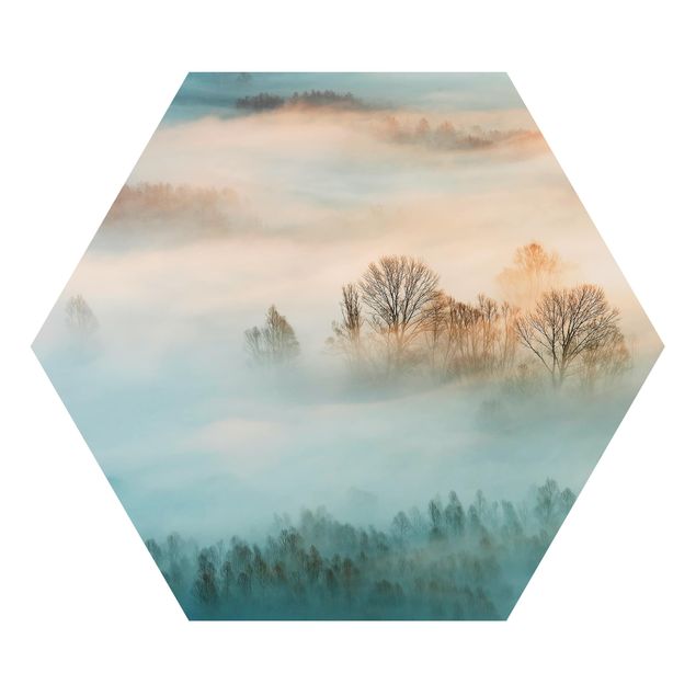 Hexagons Aluminium Dibond schilderijen Fog At Sunrise
