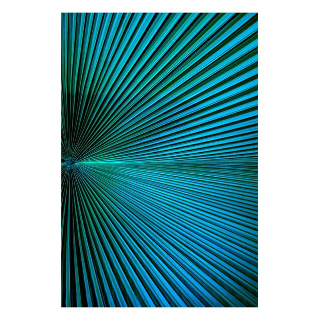 Magneetborden Tropical Plants Palm Leaf In Turquoise II