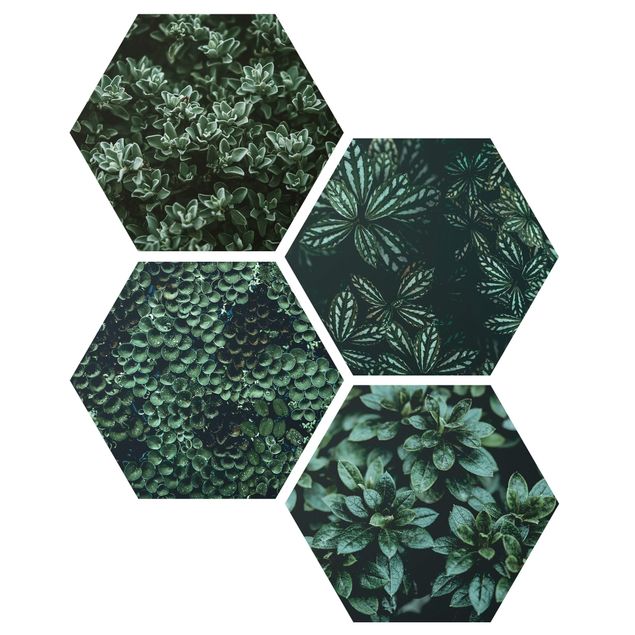 Hexagons Forex schilderijen - 4-delig Green Leaves Set I