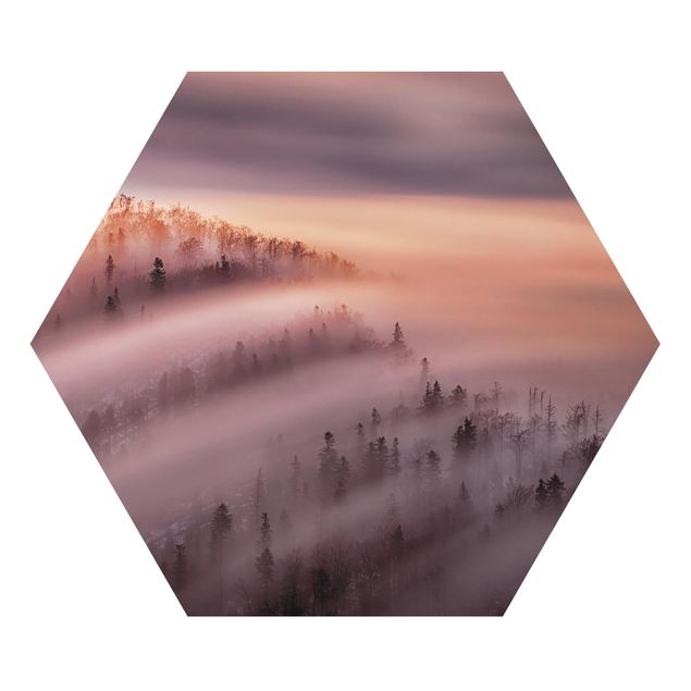 Hexagons Aluminium Dibond schilderijen Fog Flood