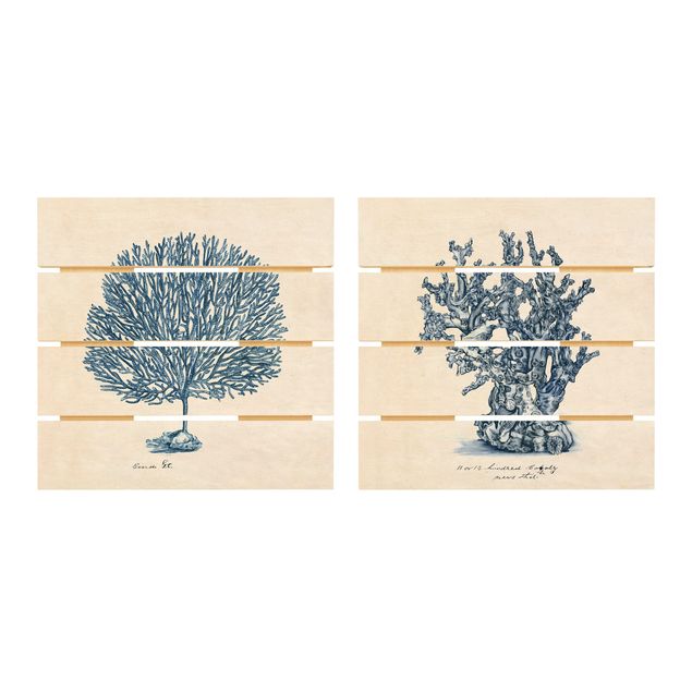 Houten schilderijen op plank - 2-delig Sea Corals Study Set I