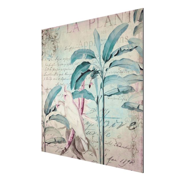 Aluminium Dibond schilderijen Colonial Style Collage - Cockatoos And Palm Trees