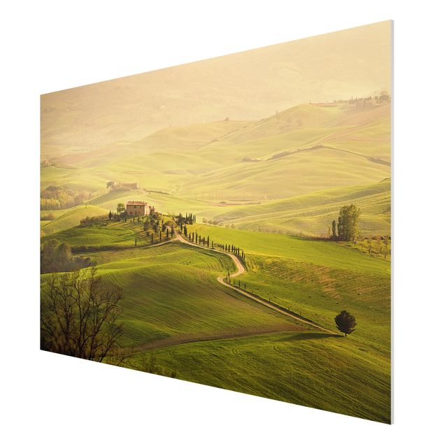 Forex schilderijen Chianti Tuscany