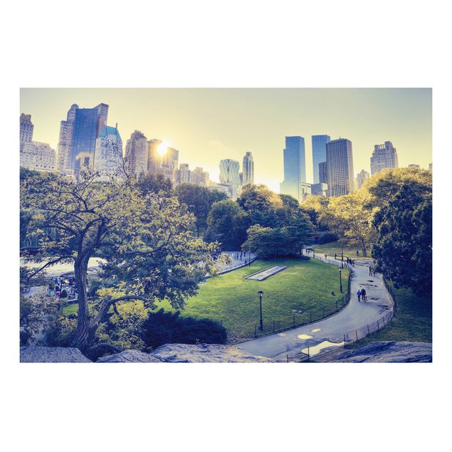Forex schilderijen Peaceful Central Park