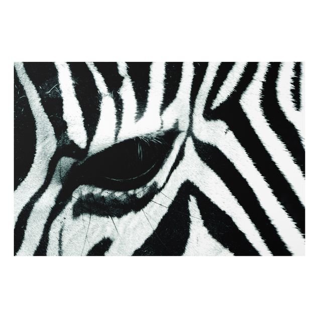 Forex schilderijen Zebra Crossing
