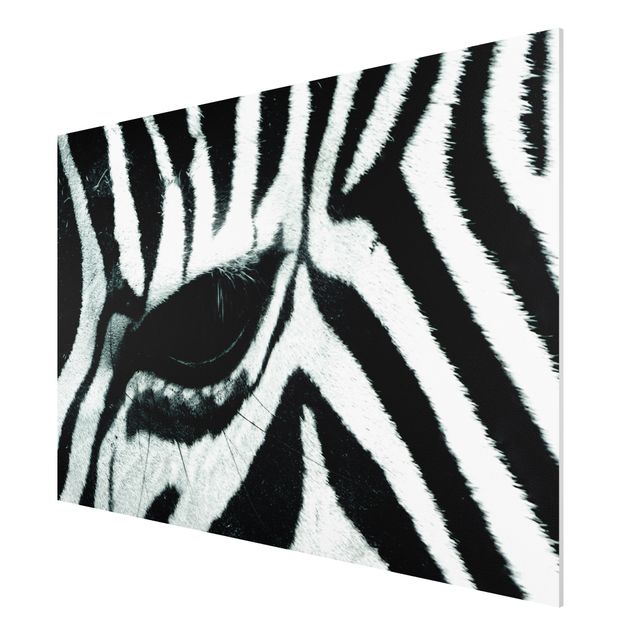 Forex schilderijen Zebra Crossing
