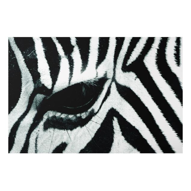 Aluminium Dibond schilderijen Zebra Crossing