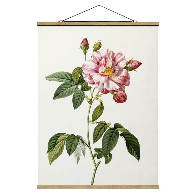 Stoffen schilderij met posterlijst Pierre Joseph Redoute - Pink Gallica Rose