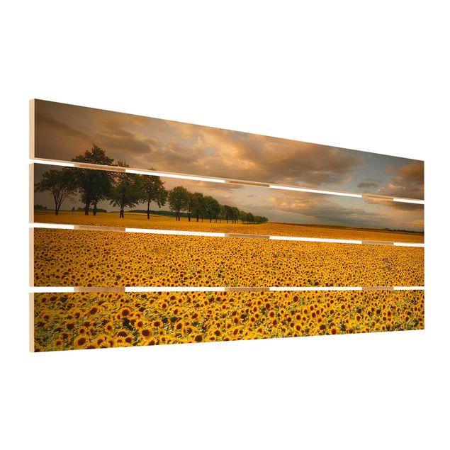 Houten schilderijen op plank Field With Sunflowers