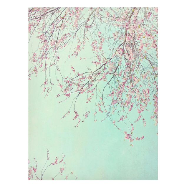 Magneetborden Cherry Blossom Yearning