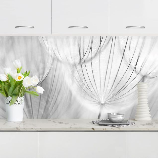 Achterwand voor keuken bloemen Dandelions Macro Shot In Black And White