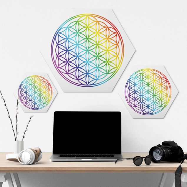 Hexagons Aluminium Dibond schilderijen Flower of Life rainbow color