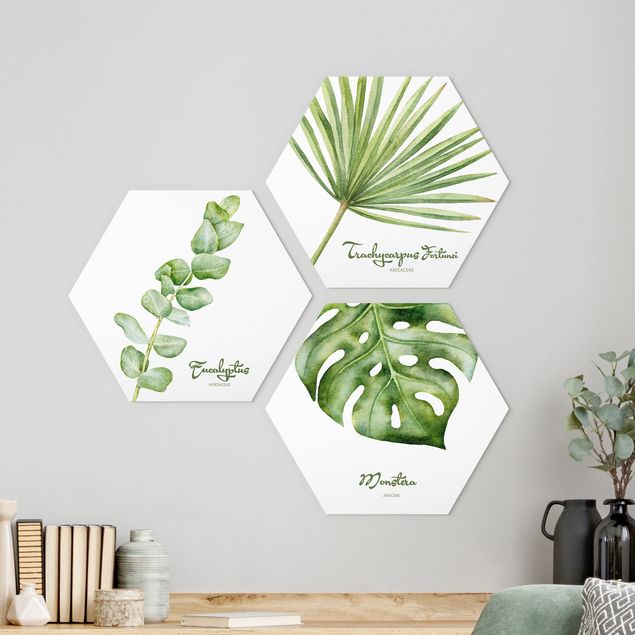 Hexagons Aluminium Dibond schilderijen - 3-delig Watercolour Botany