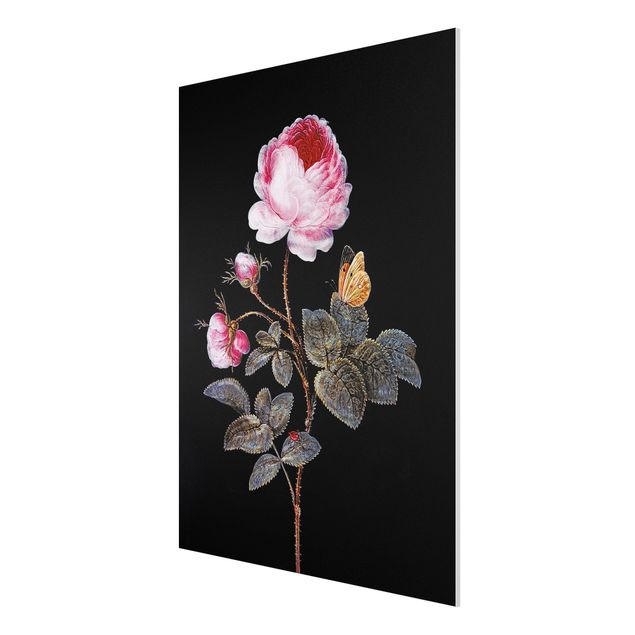 Forex schilderijen Barbara Regina Dietzsch - The Hundred-Petalled Rose
