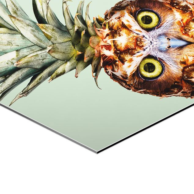 Hexagons Aluminium Dibond schilderijen Pineapple With Owl