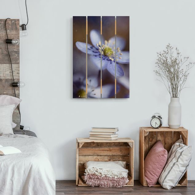 Houten schilderijen op plank Anemone In Blue