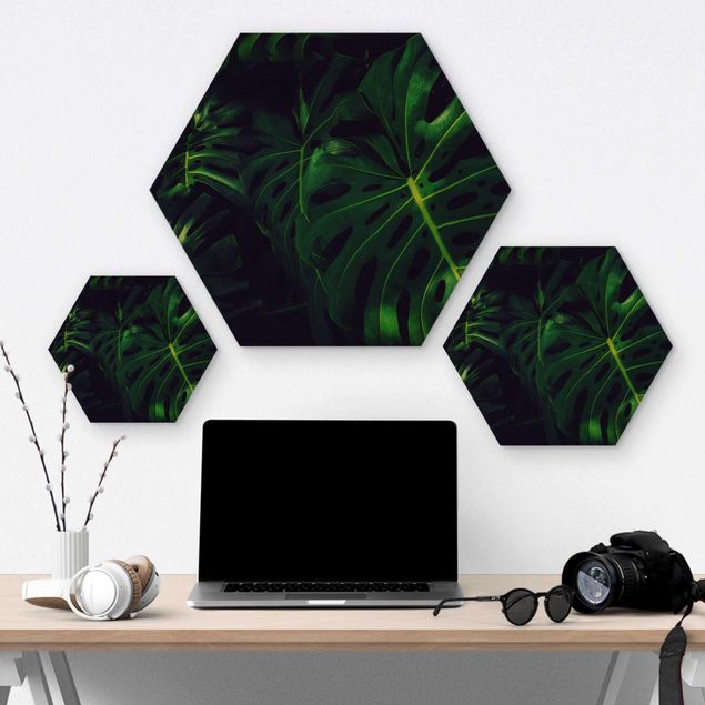 Hexagons houten schilderijen Monstera Jungle