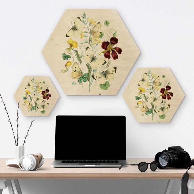 Hexagons houten schilderijen British Butterflies II