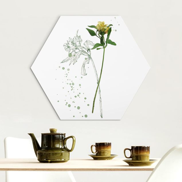 Hexagons Aluminium Dibond schilderijen Botanical Watercolour - Lily