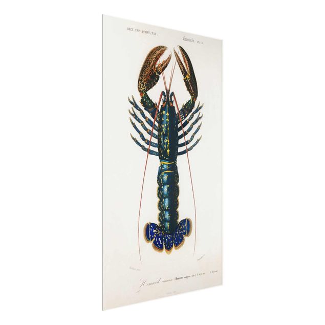 Glasschilderijen Vintage Board Blue Lobster