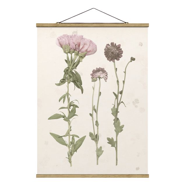 Stoffen schilderij met posterlijst Herbarium In Pink III