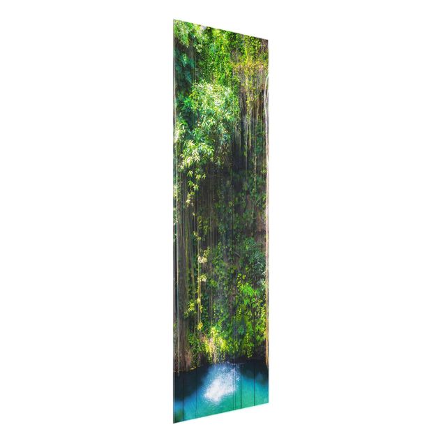Magnettafel Glas Hanging Roots Of Ik-Kil Cenote