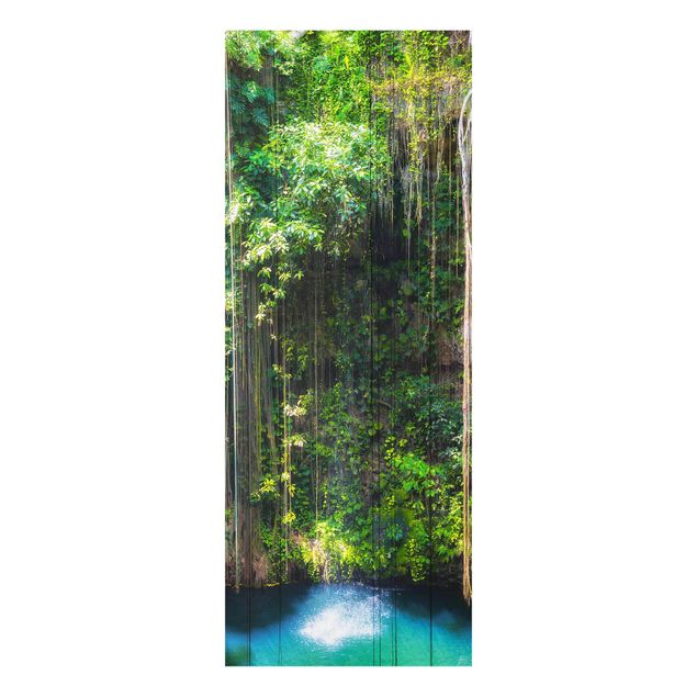 Glasschilderijen Hanging Roots Of Ik-Kil Cenote