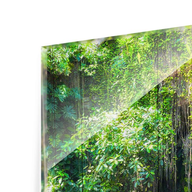 Glasschilderijen Hanging Roots Of Ik-Kil Cenote