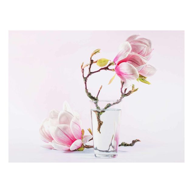 Glasschilderijen Magnolia In A Glass