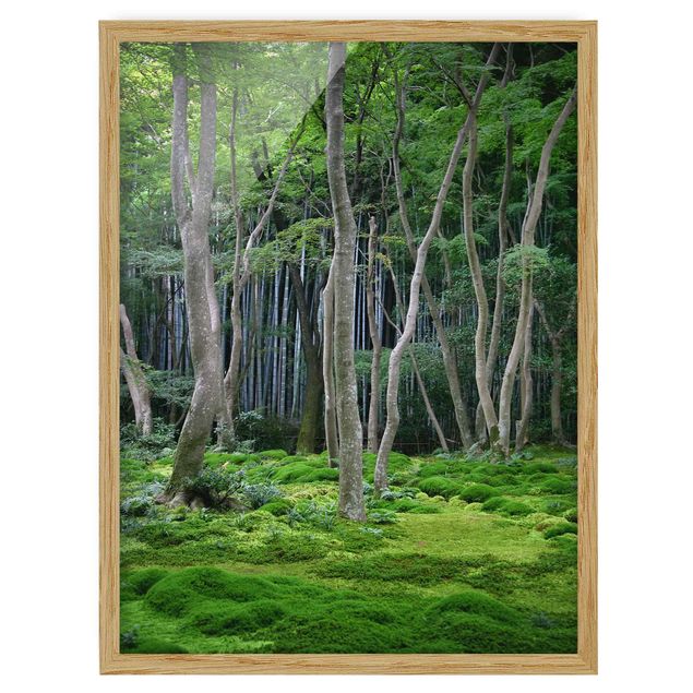 Ingelijste posters Japanese Forest