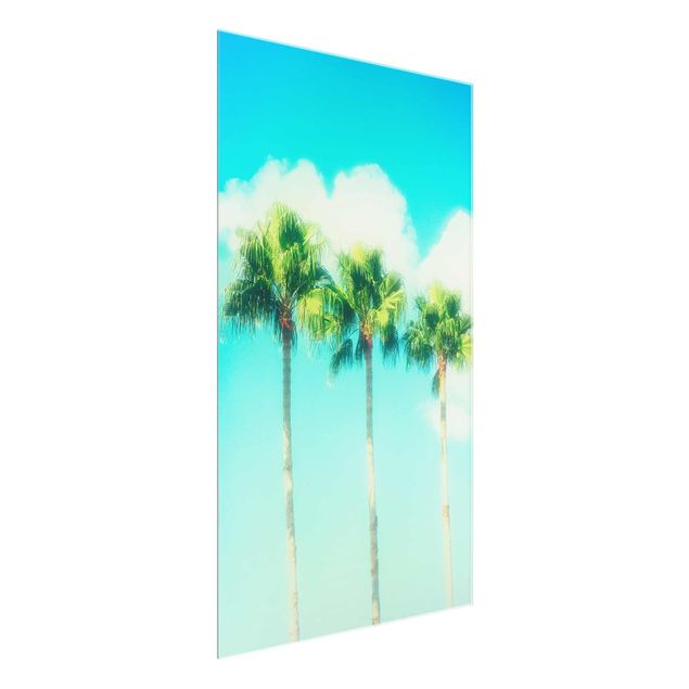 Glasschilderijen Palm Trees Against Blue Sky