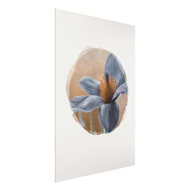 Glasschilderijen WaterColours - Kuhschelle In Blue
