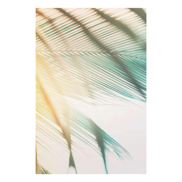 Glasschilderijen Tropical Plants Palm Trees At Sunset II