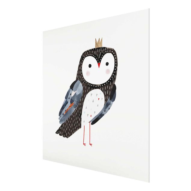 Glasschilderijen Crowned Owl Dark