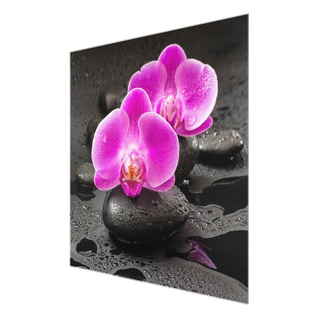 Glasschilderijen Pink Orchid Flower On Stones With Drops
