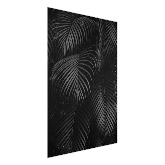 Glasschilderijen Black Palm Fronds