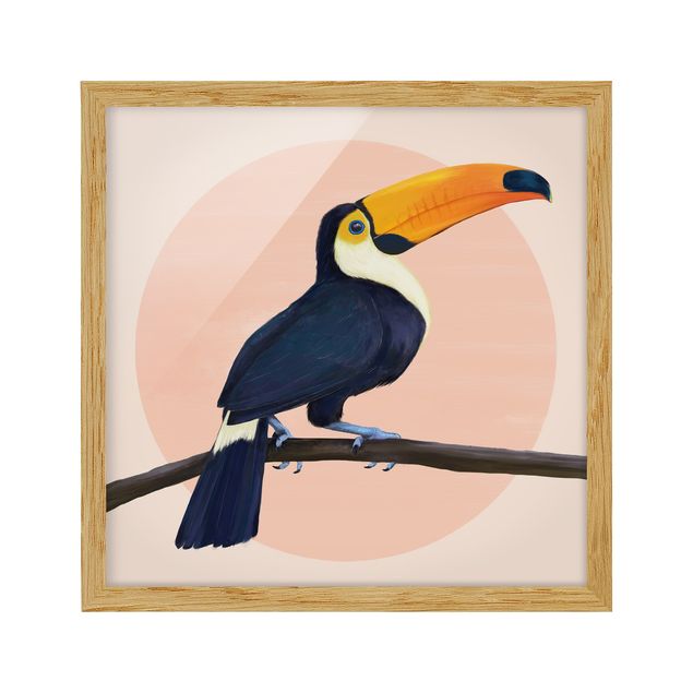 Ingelijste posters Illustration Bird Toucan Painting Pastel