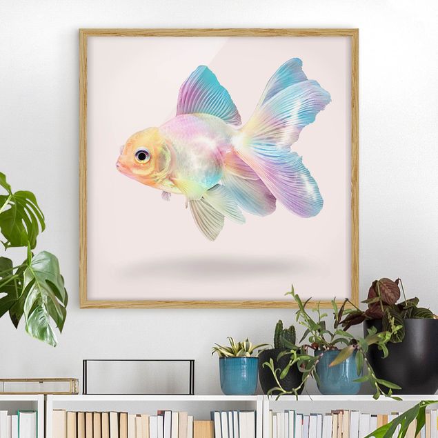 Ingelijste posters Fish In Pastel
